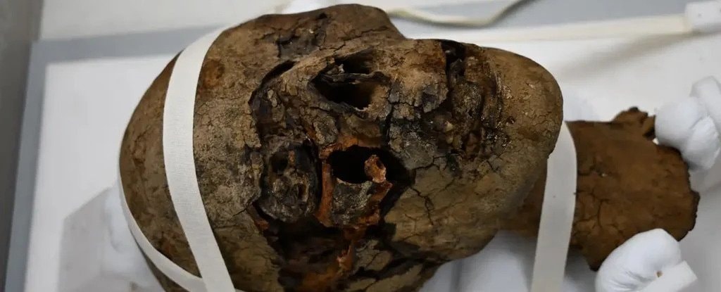 Znaleźli na strychu głowę. Czaszka ma 2000 lat i nie pochodzi z tego kraju