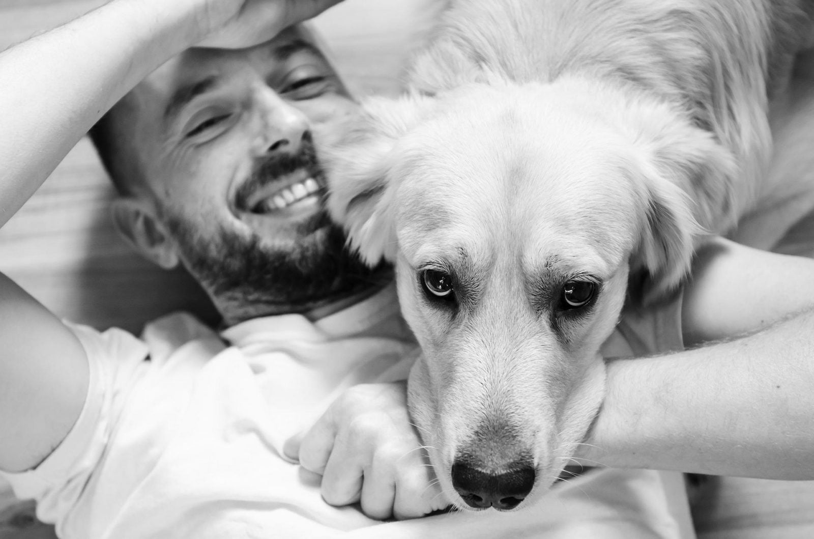 Potęga miłości. Psy robią coś wzruszającego na nasz widok