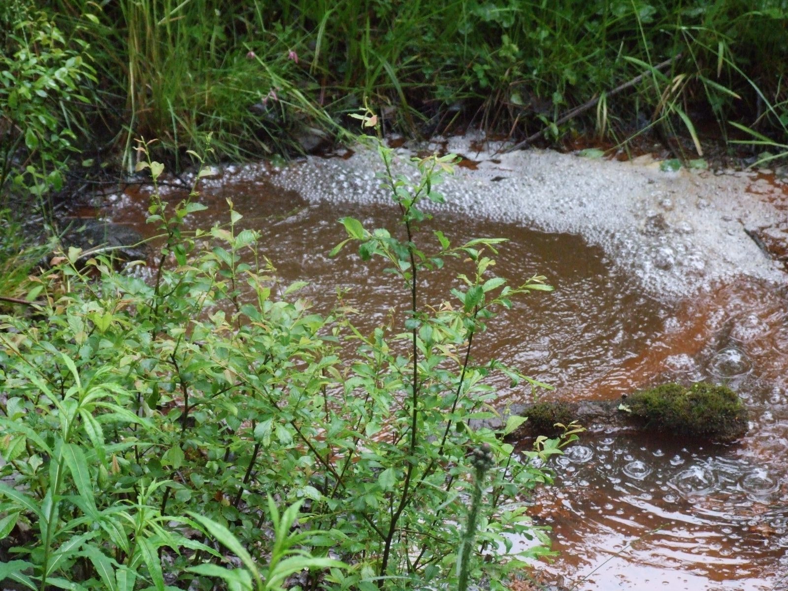 Mofety w Tyliczu, przybliżenie / fot. Jakub Zygmunt