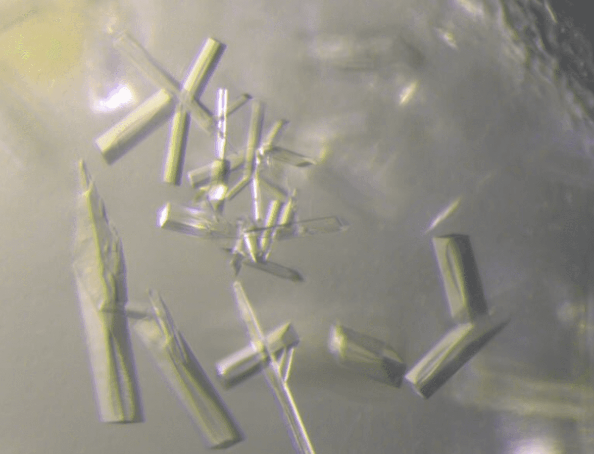 Kryształy produktu AMG wirusa glebowego (chitozanaza) w powiększeniu 400x /Fot. SLAC National Accelerator Laboratory
