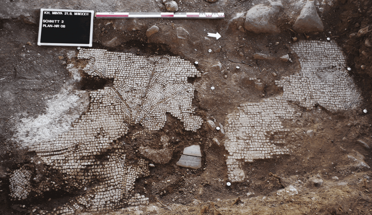 Mozaika znaleziona w pobliżu pałacu Khirbat al-Minya rzuca nowe światło na okolicę /Fot. JGU
