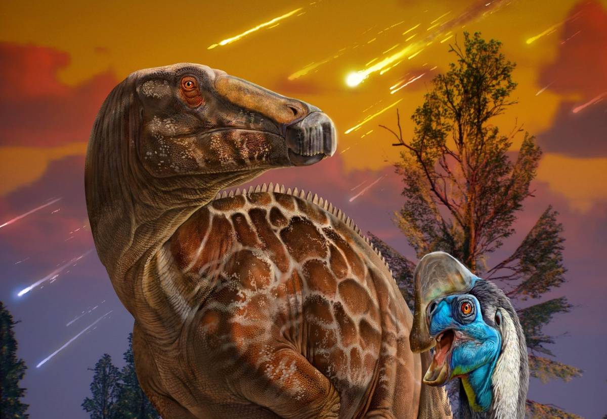 Planetoida była tylko gwoździem do trumny. Bez jej uderzenia dinozaury i tak by wymarły