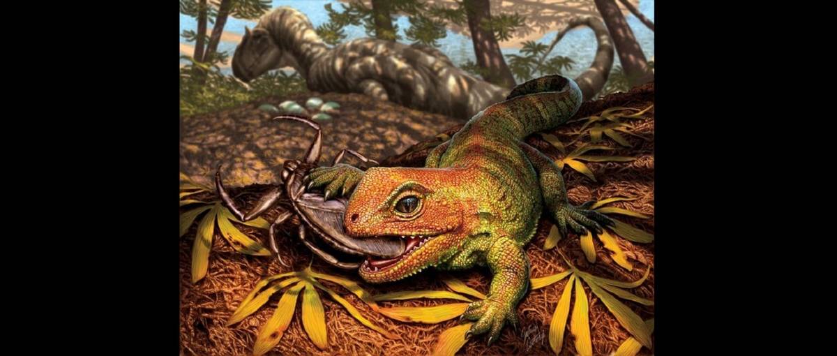 Ten gad żył w czasach dinozaurów. Naukowcy poznali jego tajemnice