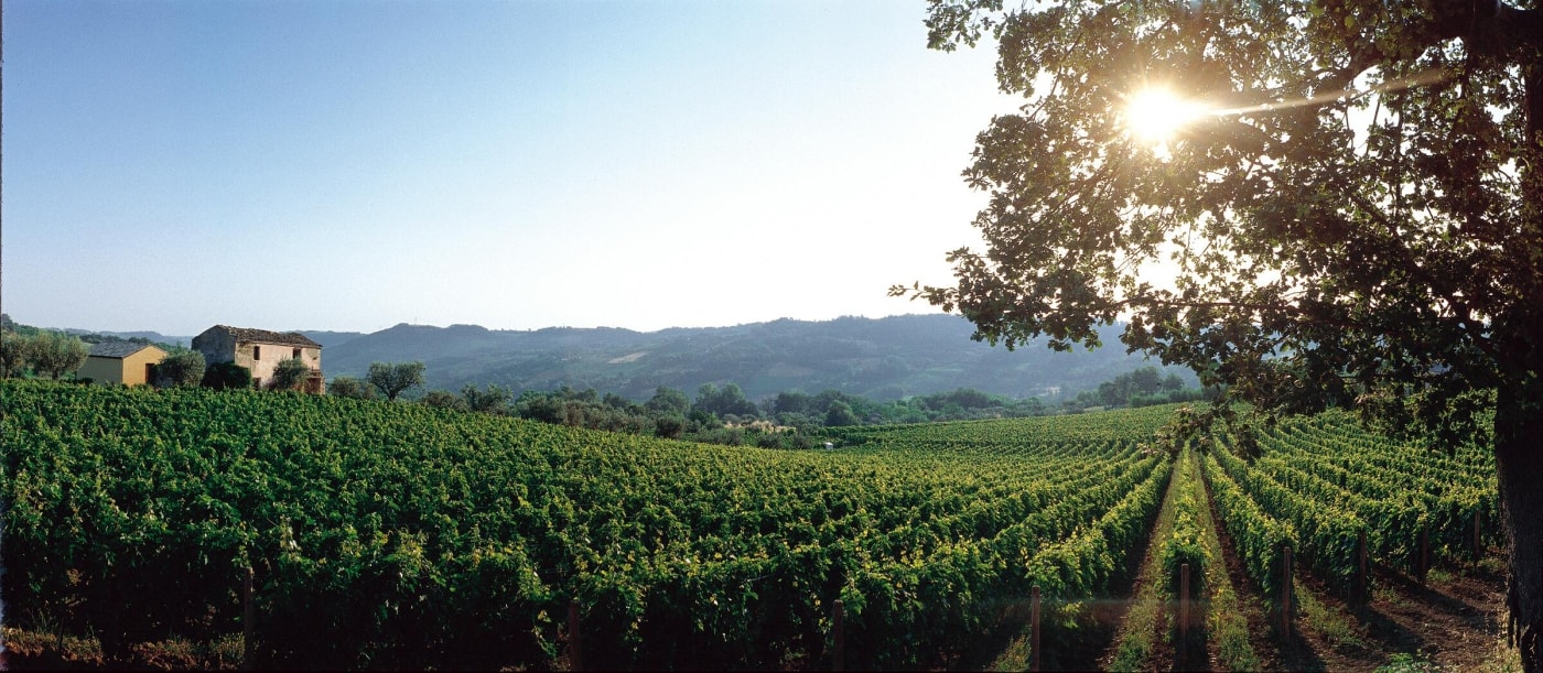 Zrównoważony rozwój – Włosi robią to dobrze