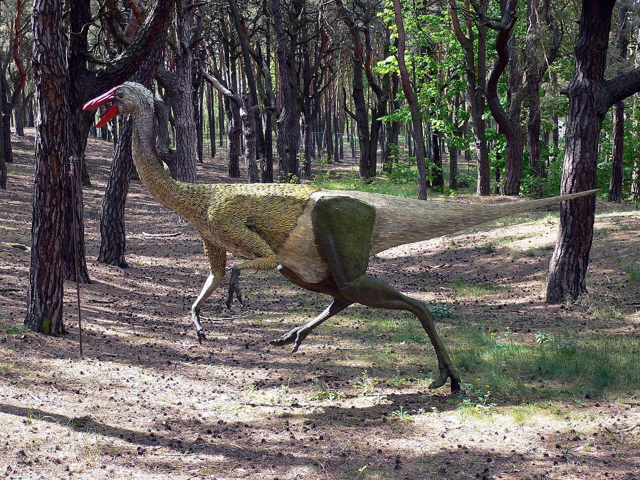 źródło: Wikimedia Commons, Przemysław Jahr, domena publiczna