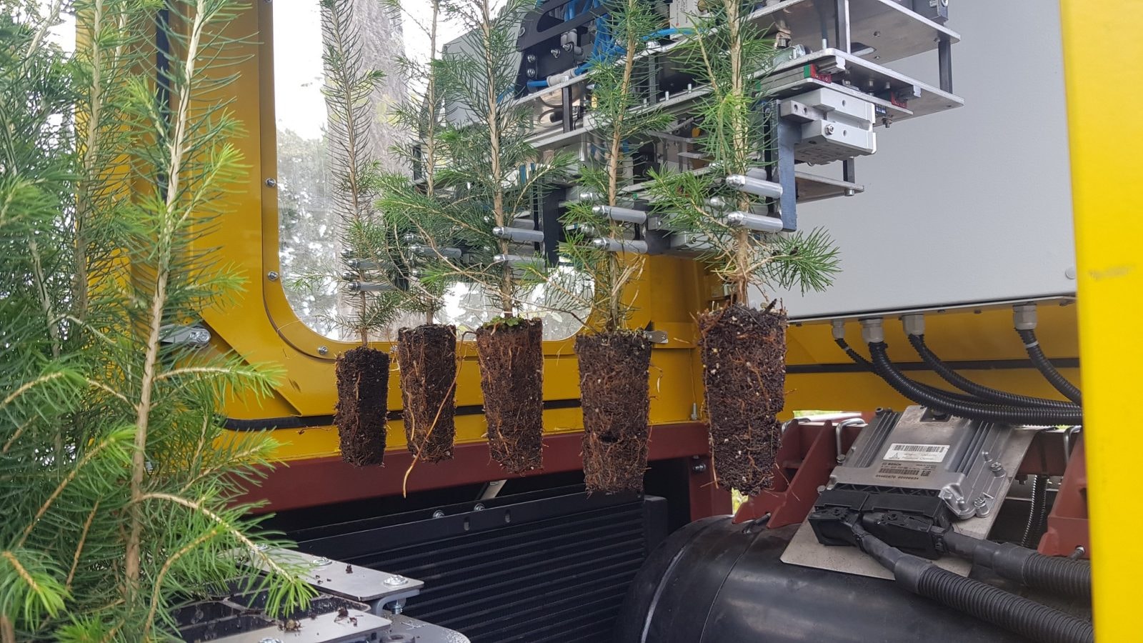 źródło: Wydział Leśny UR Kraków / Facebook.com