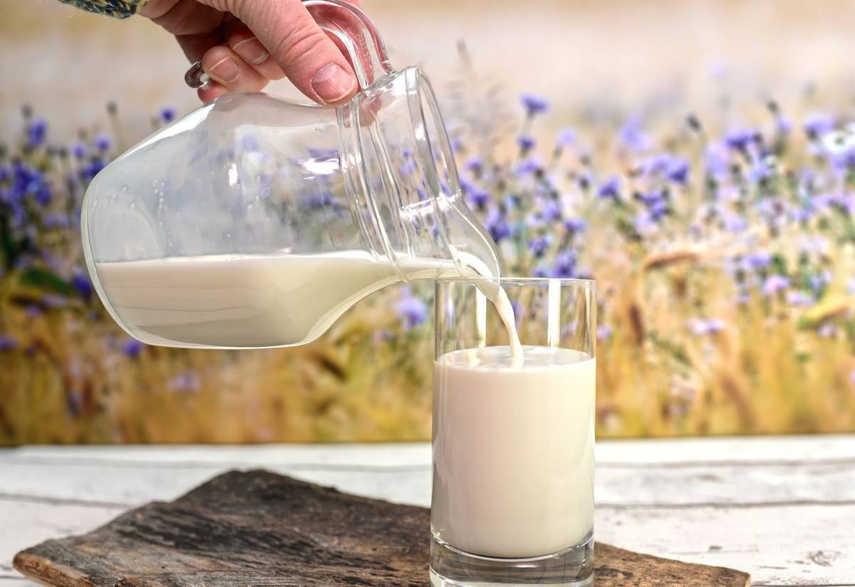 Ludzie piją mleko znacznie dłużej, niż nam się wydawało /Fot. Pixabay
