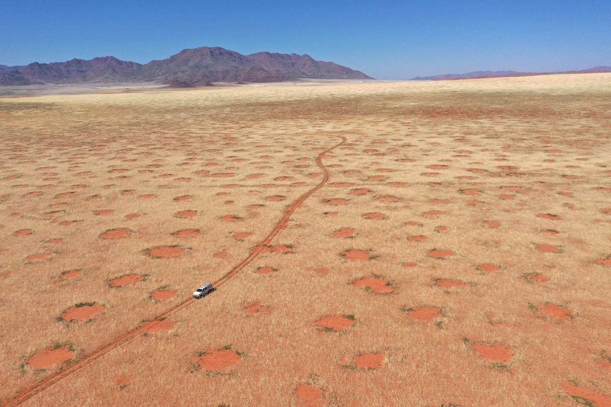 Tajemnicze kręgi na środku pustyni. Wreszcie poznaliśmy rozwiązanie zagadki