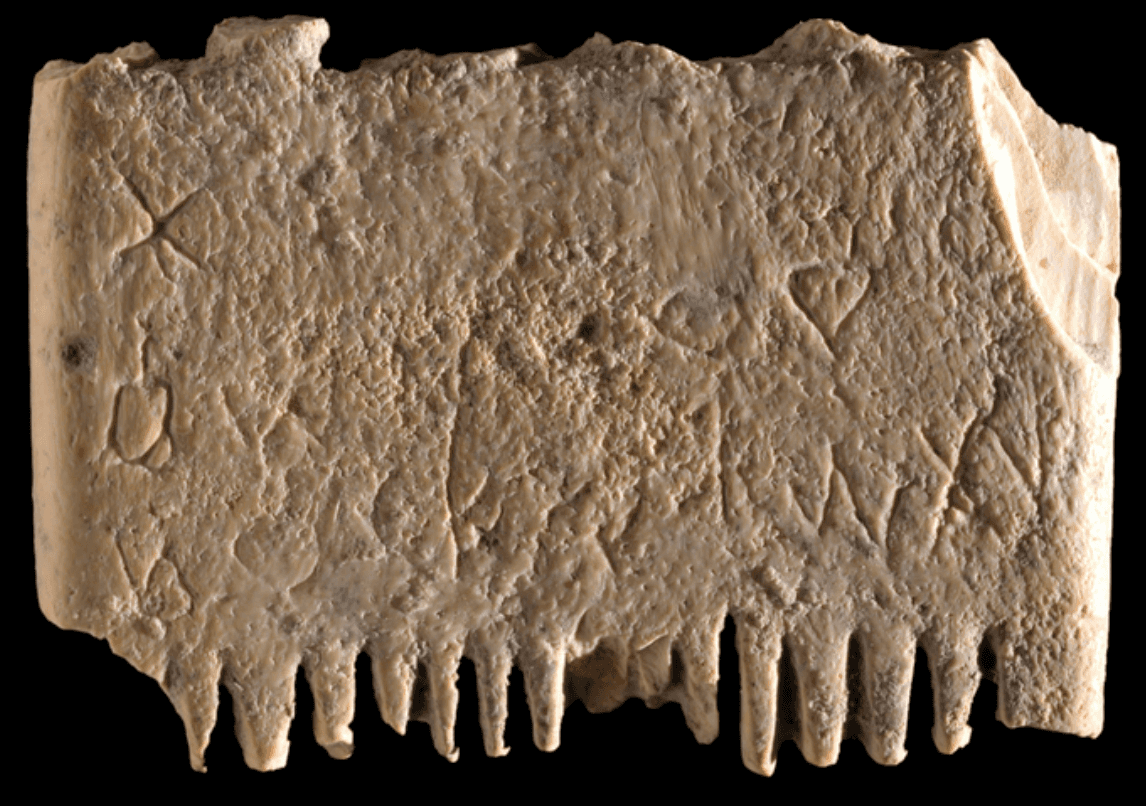 Fragment grzebienia ze zdaniem zapisanym w języku kananyjskim /Fot. Israel Antiquities Authority
