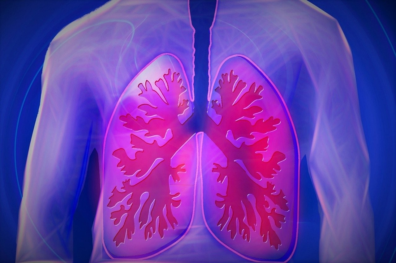 Grzyby mogą wywoływać infekcje płuc &#8211; są one trudne do wykrycia i często mylone z innymi chorobami /Fot. Pixabay
