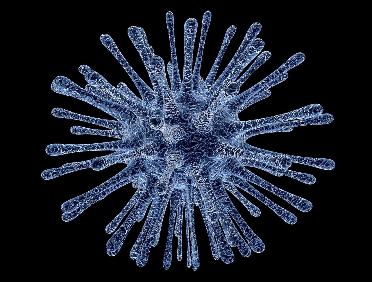 Nie wiemy, ile wirusów z wiecznej zmarzliny czeka na uwolnienie /Fot. Pixabay
