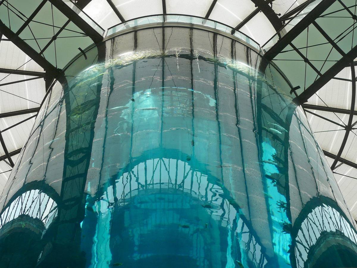 Gigantyczne akwarium rozpadło się na kawałki. Co doprowadziło do tragedii w berlińskim hotelu?