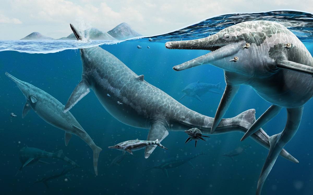 Skamieniałość ichtiozaura sprzed 250 mln lat ujawnia zaskakujące fakty na temat ewolucji tych zwierząt