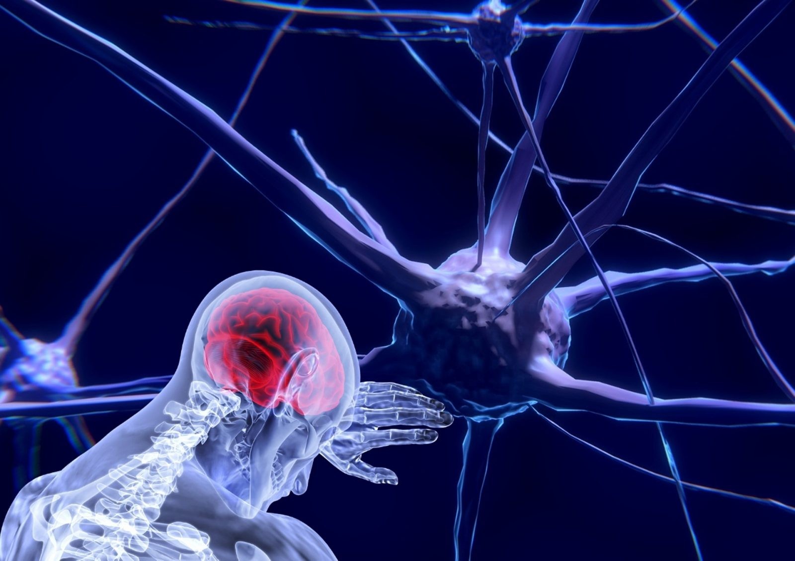 Udar mózgu sprawia, że neurony obumierają /Fot. Pixabay
