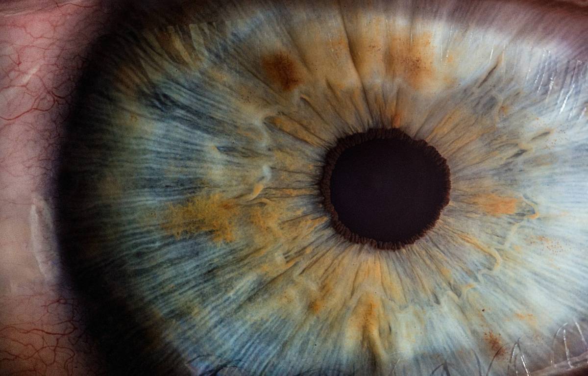Coraz bliżej zrozumienia chorób oczu /Fot. v2osk, Unsplash
