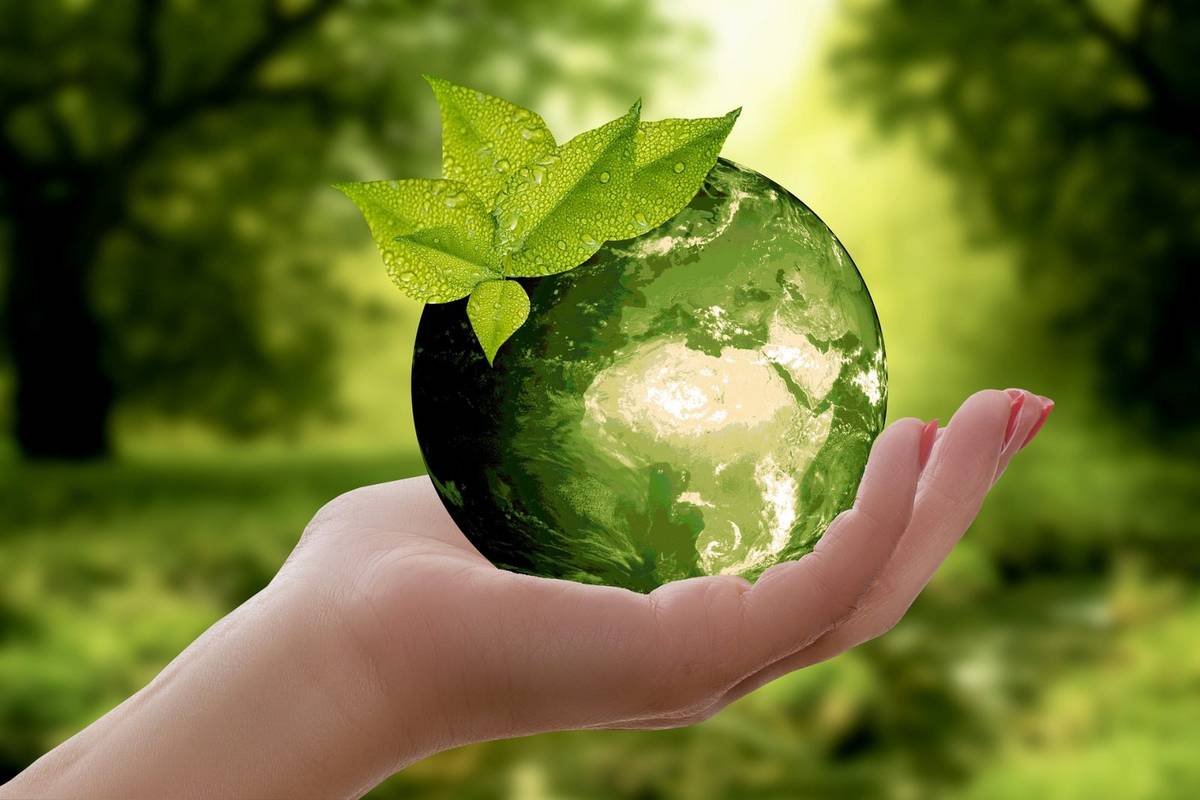Możemy ocalić przyrodę, ale musimy zmienić podejście /Fot. Pixabay
