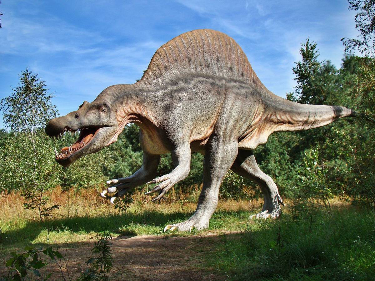 Najdziwniejsze dinozaury w historii. Pokazujemy 10 osobliwych zwierząt, które kiedyś rządziły światem