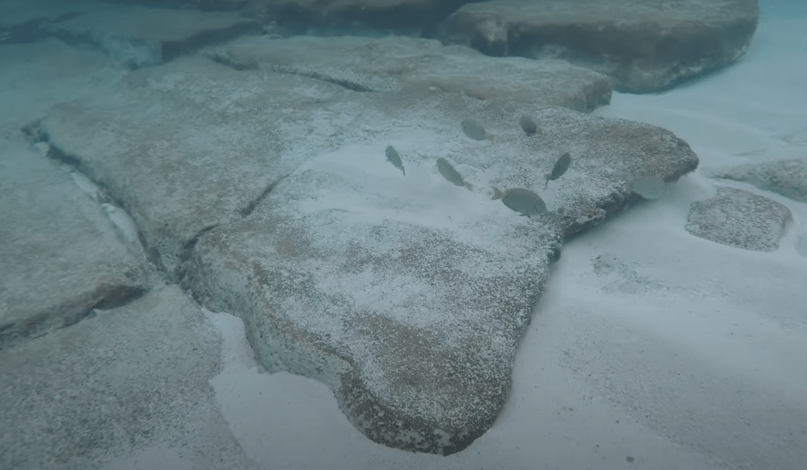 Skały tworzące Drogę Bimini /Fot. YouTube