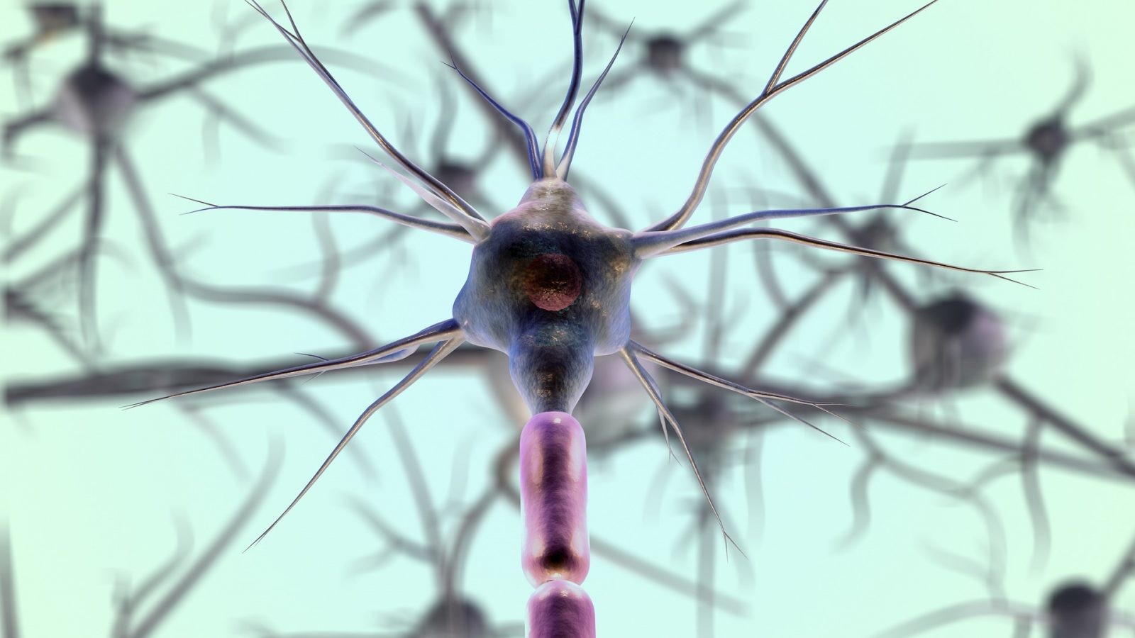 To neurony przechowują nasze wspomnienia &#8211; a dokładniej ich synapsy /Fot. Pixabay
