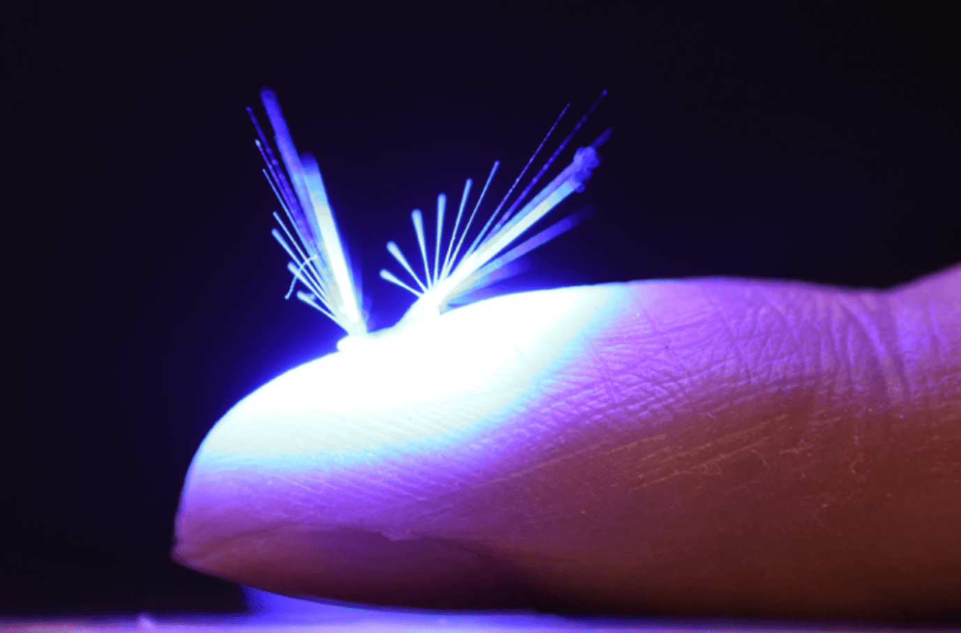 Te roboty są sterowane światłem – ale wciąż nie umiemy wylądować nimi w konkretnym miejscu /Fot. Tampere University