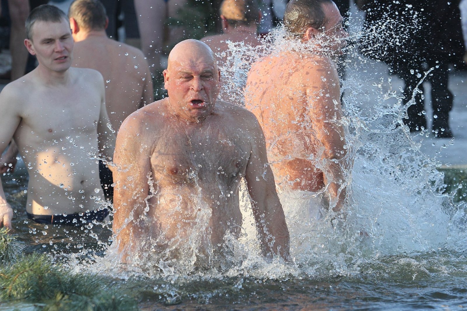 źródło: Wikimedia Commons, CC BY-SA 2.0