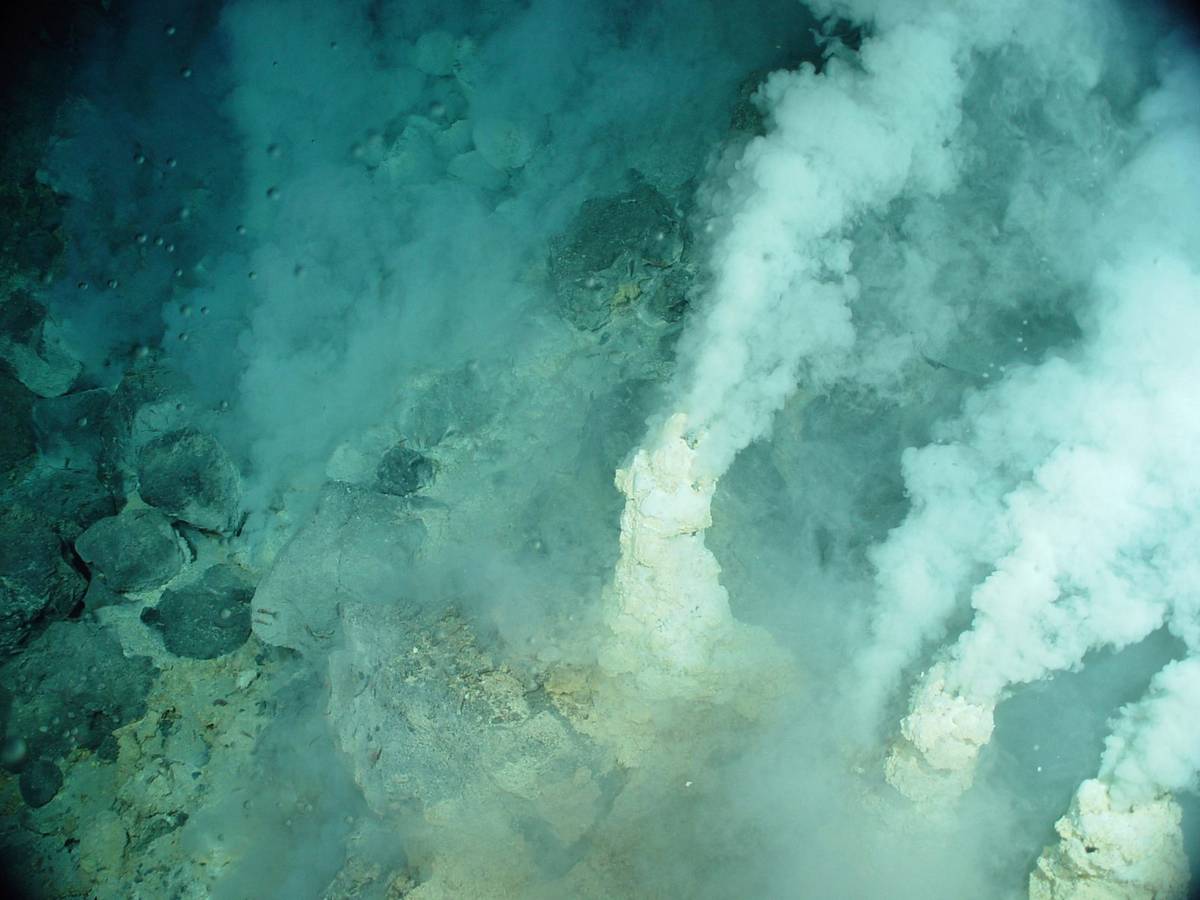 Przykładowe pole hydrotermalne