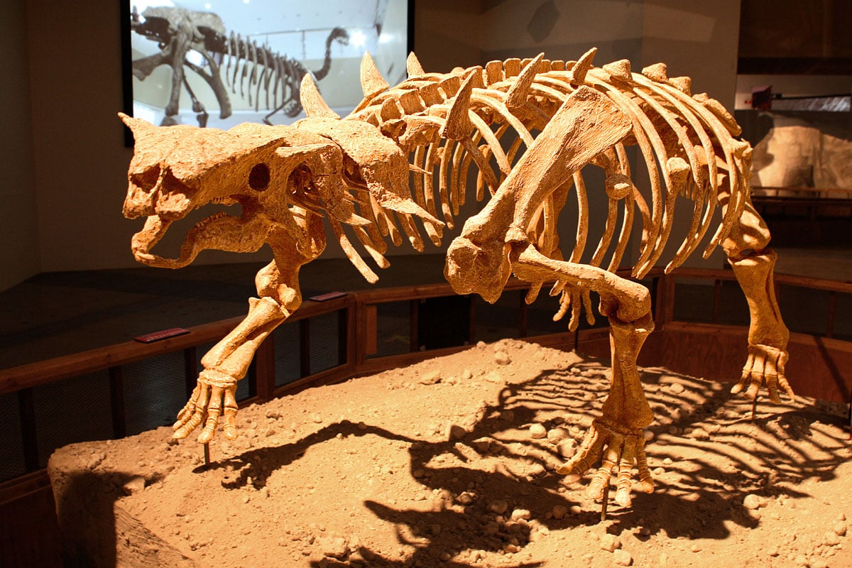 Jak brzmiały dinozaury?