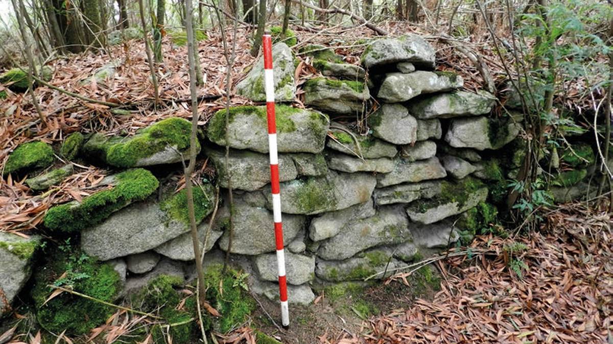 Forteca z V wieku ukryta w lesie. Do jej znalezienia posłużyła zaawansowana technologia