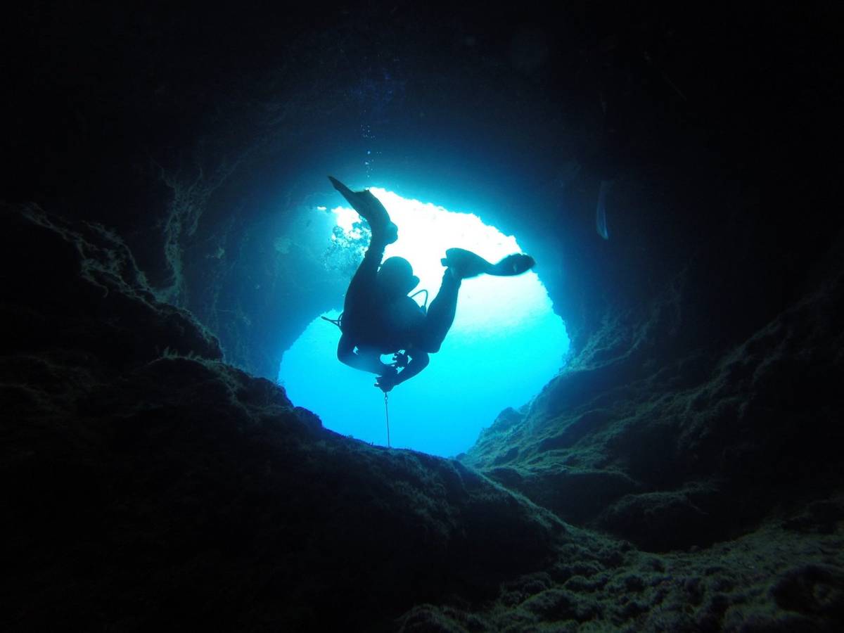 Największa ryba jaskiniowa na świecie odnaleziona przez biologów w jaskiniach Meghalaya /Fot. Pixabay
