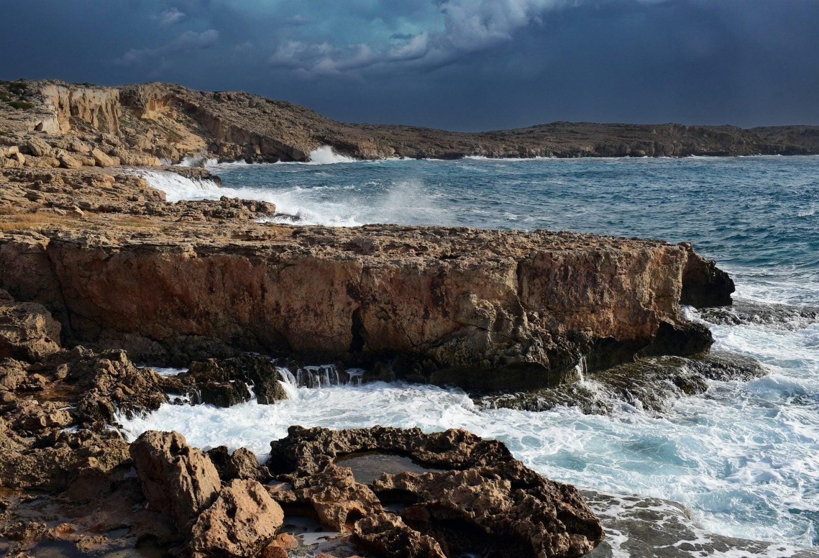 Wiele martwych zwierząt na wybrzeżu Cypru. Za winowajcę podaje się trzęsienie ziemi w Turcji