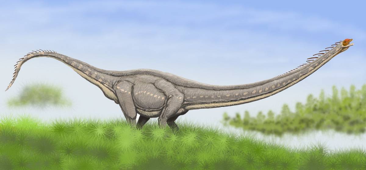 Ten dinozaur był niczym chodzący dźwig. Miał najdłuższą szyję w historii