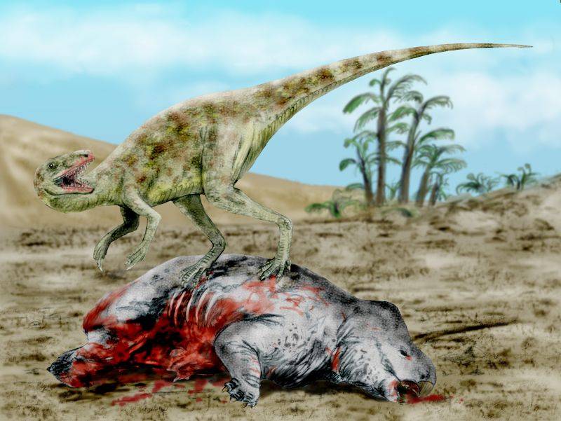 Staurikosaurus, jeden z pierwszych dinozaurów z późnego triasu / źródło: Wikimedia Commons, CC-BY-3.0

