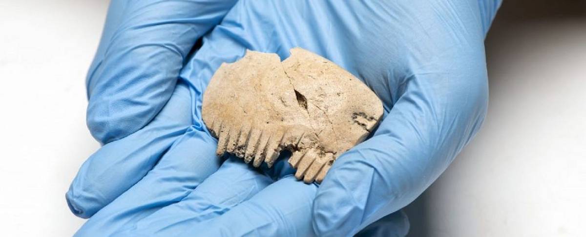 Znaleźli grzebień sprzed tysięcy lat. Wiąże się z nim makabryczna historia