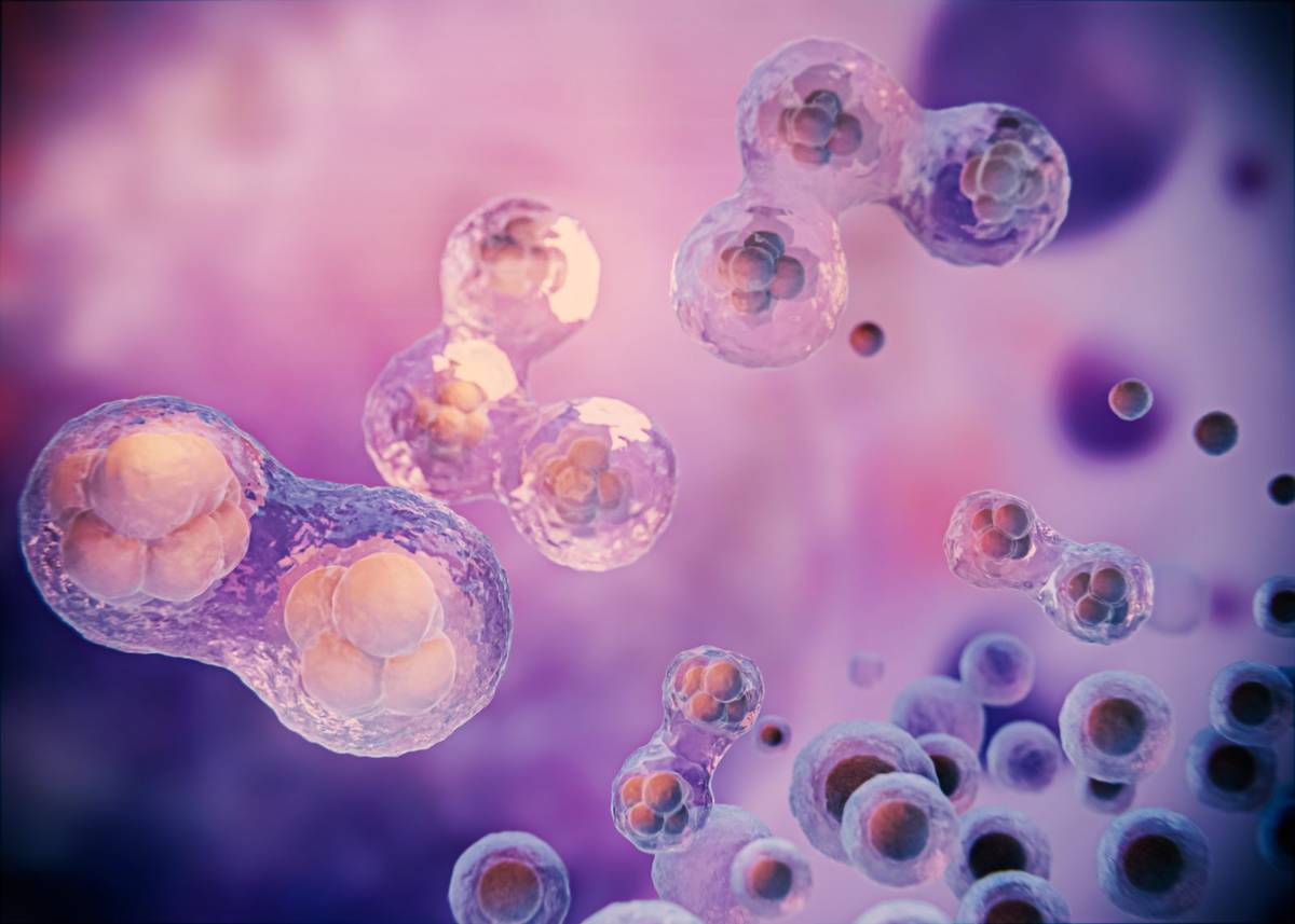 Komórki macierzyste z krwi pępowinowej wykorzystano w leczeniu HIV po raz pierwszy /Fot. Freepik
