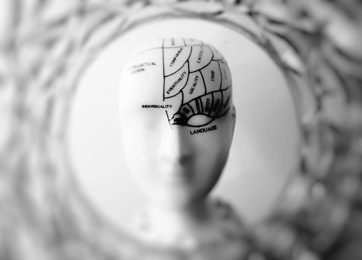 Jak czytanie wpływa na nasz mózg? Naukowcy poznali odpowiedź /Fot. Pexels
