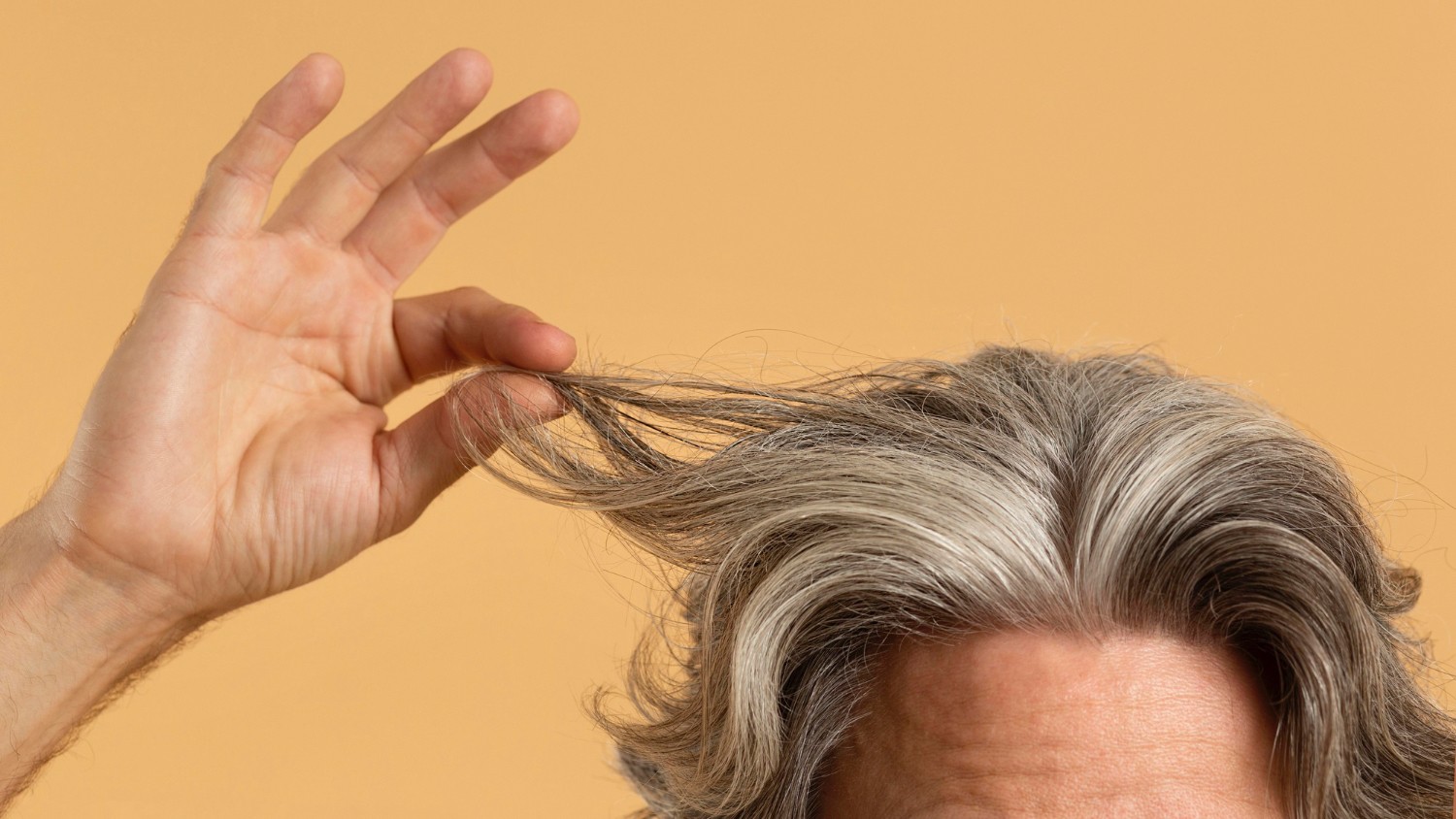 Siwienie włosów &#8211; jak zahamować ten proces? /Fot. Freepik

