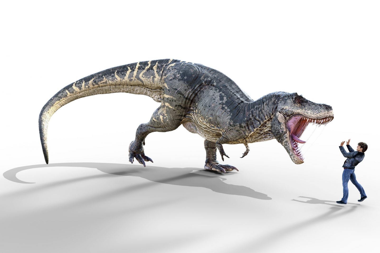 Nie zgadniesz ile tyranozaurów przewinęło się przez powierzchnię Ziemi. Więcej niż ci się wydaje