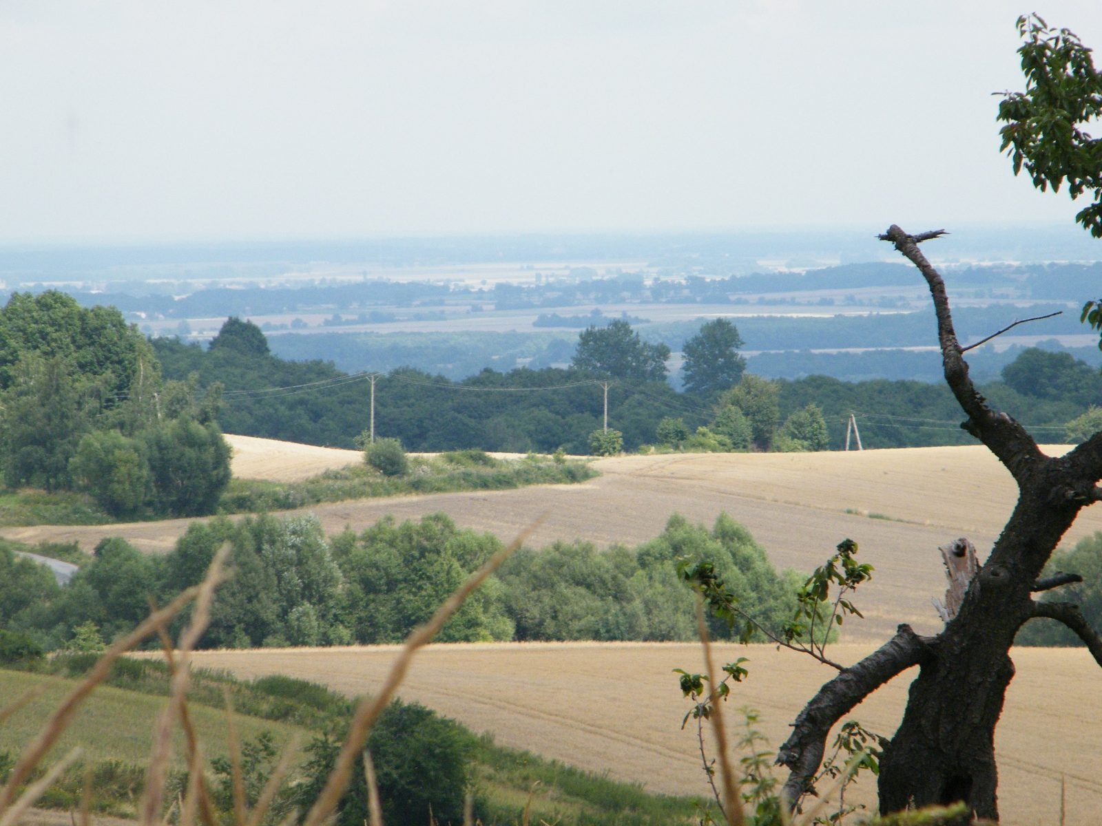 Krajobraz Wzgórz Strzelińskich / źródło: Wikimedia Commons, CC-BY-SA-3.0