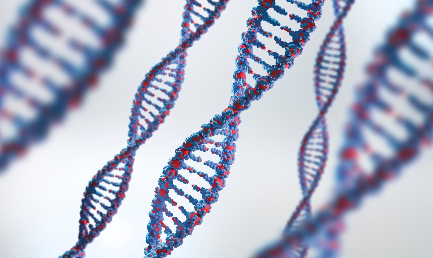 Technika CRISPR/Cas9 ulepszona. Zmieniono kluczowy element