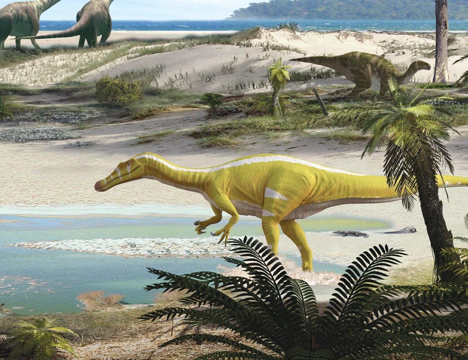 Drapieżne dinozaury rządziły kiedyś Europą. Nowo zidentyfikowany gatunek szczególnie zainteresuje fanów futbolu