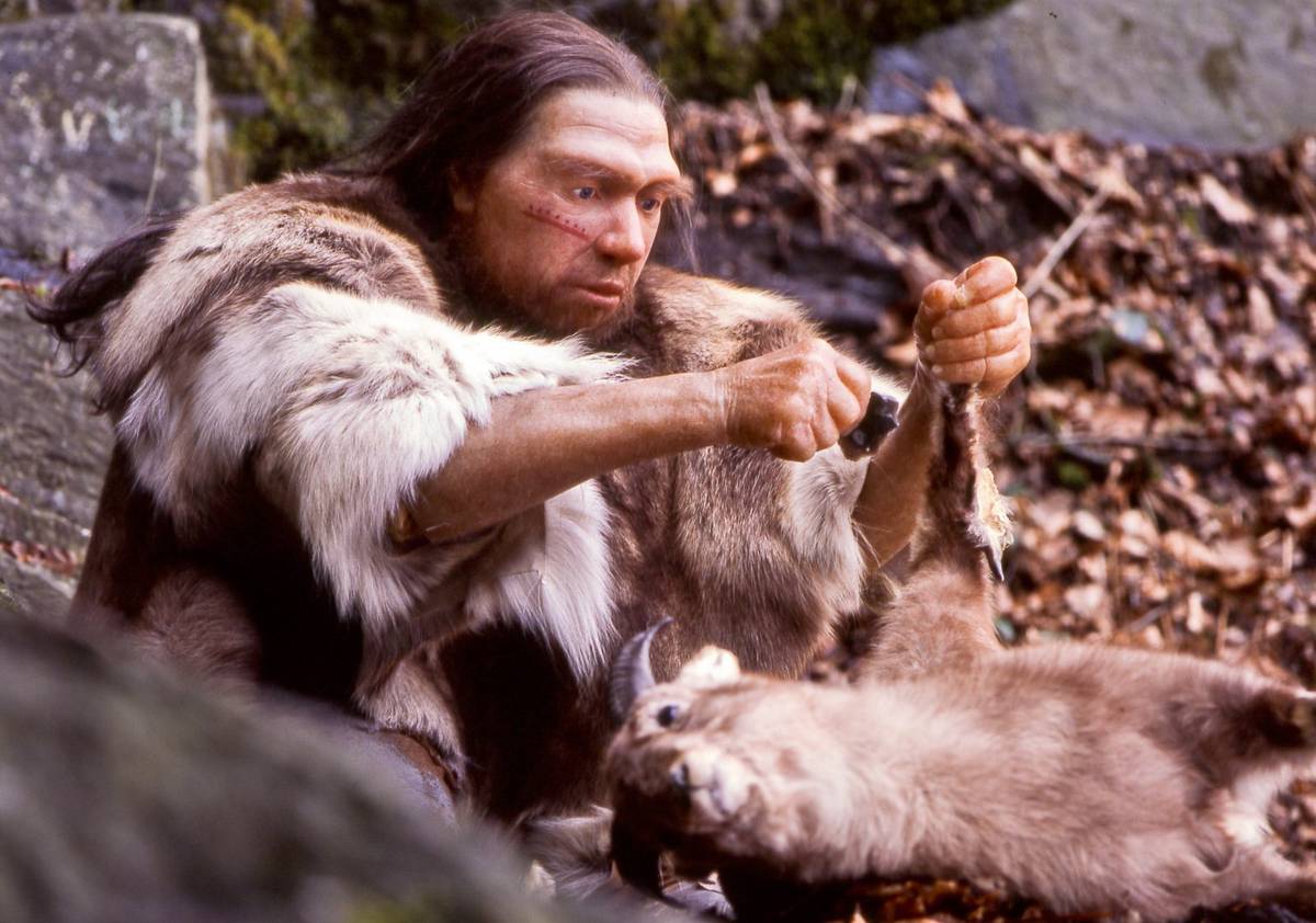Neandertalczycy polowali na giganty dwukrotnie większe od słoni. Niebywała historia sprzed tysięcy lat