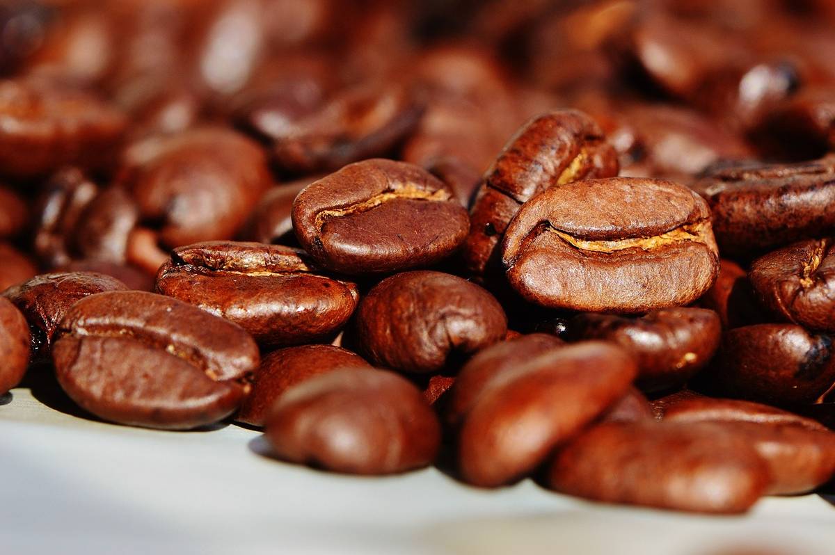 Kawa zielona lepsza dla zdrowia? /Fot. Pixabay
