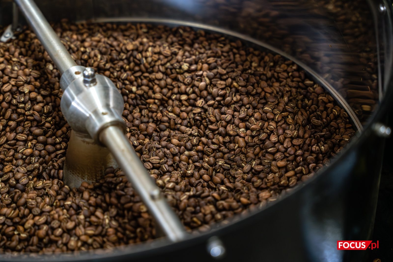 Pięć rzeczy, których możesz nie wiedzieć o kawie