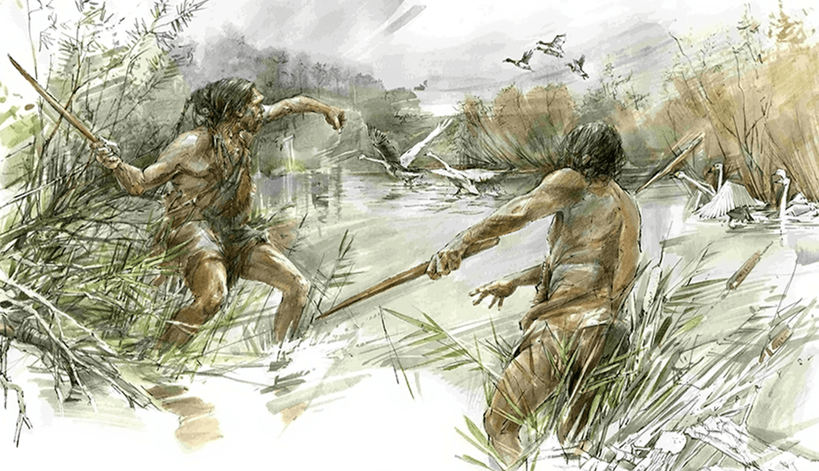 Wcześni ludzie dysponowali znacznie lepszą obróbką drewna, niż nam się wydawało /Fot. University of Reading