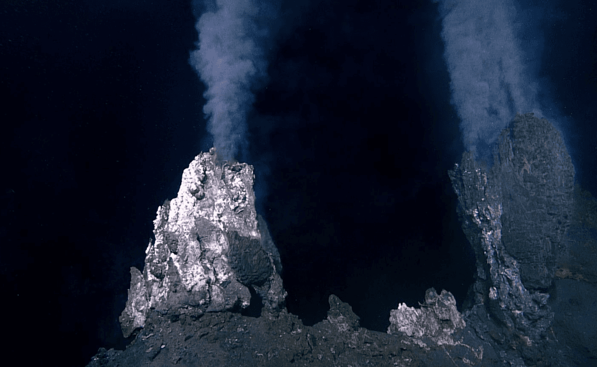 Wulkan NEPDEP 58 okazał się być aktywny /Fot. Northeast Pacific Deep-Sea Expedition

