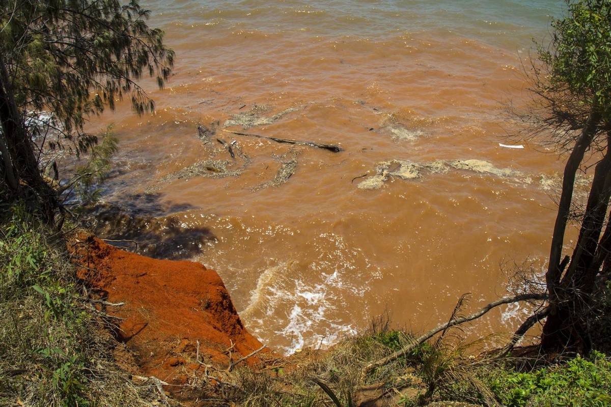 Podczas zakwitu bruzdnic woda w morzu przybiera czerwony kolor / źródło: Wikimedia Commons, CC-BY-SA-2.0
