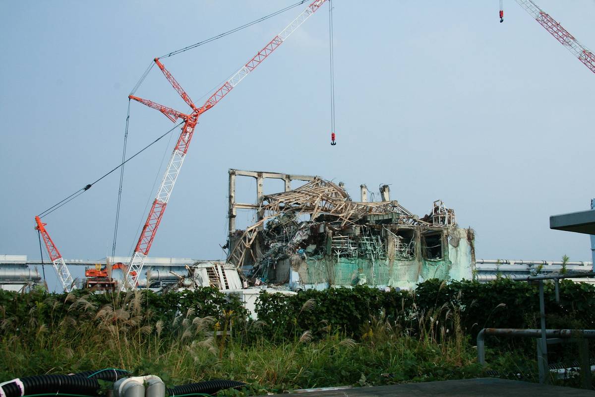 Japonia ma poważny problem. Chodzi o skutki awarii w Fukushimie