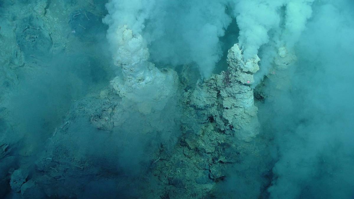 Kominy hydrotermalne to oaza życia. Nie tylko na powierzchni dna oceanicznego