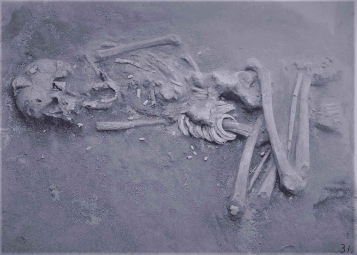 Zdjęcie pochówku ciał na wyspie Tanegashima / źródło: Muzeum Uniwersytetu Kiusiu, materiały prasowe
