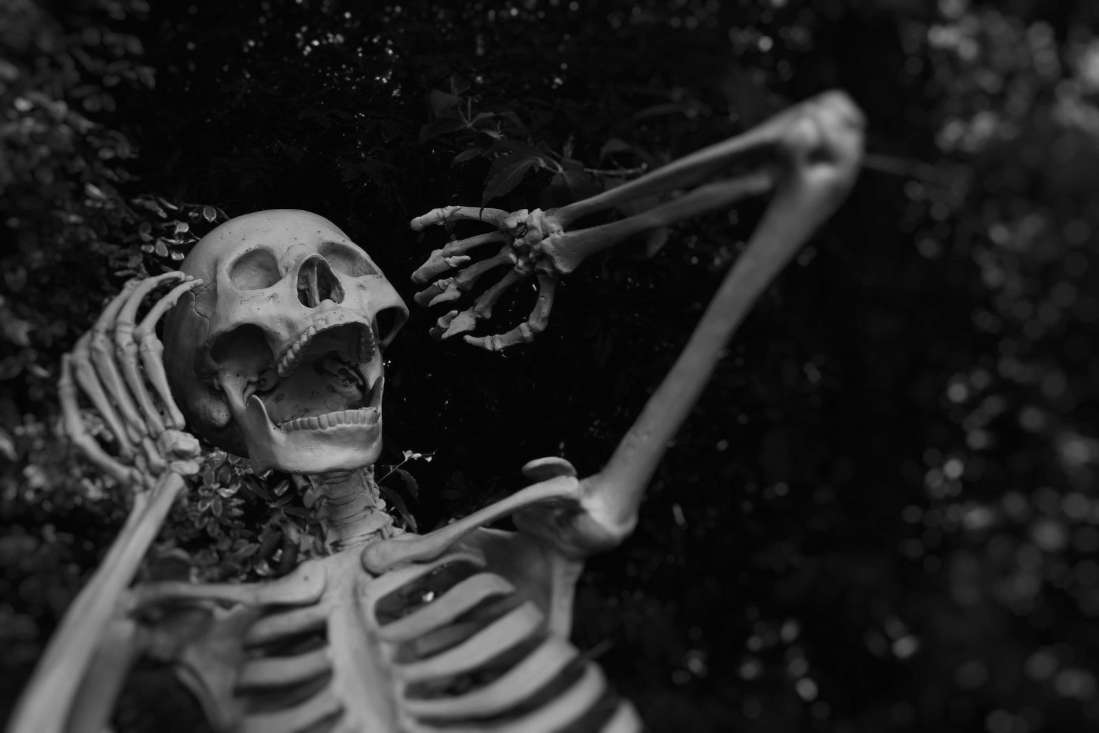 Szkielet człowieka &#8211; zdjęcie poglądowe /Fot. Unsplash
